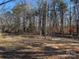 Open wooded area with mature trees at 145 Mccarver Rd, Gastonia, NC 28056