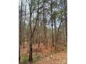 View Lot 1 Great Falls Hwy Chester SC