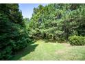 Wooded area with lush greenery and grassy clearing at 127 Palos Verde Rd, Mooresville, NC 28117