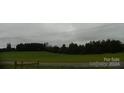 Open land with a treeline and grassy area at 444 Badin Lake Rd, New London, NC 28127