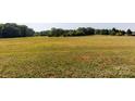 Open land with mature trees and distant woodland at 243 Love St, McConnells, SC 29726