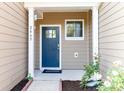 Inviting front entry with blue door and landscaping at 2465 Palmdale Walk Dr, Fort Mill, SC 29708