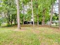 House backyard view, surrounded by lush trees at 5432 Lantana Ave, Charlotte, NC 28212