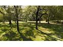 Spacious backyard with large trees and grassy area at 1270 Stanback Rd, Mount Gilead, NC 27306