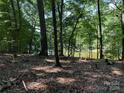 Wooded lakefront lot with privacy at 195 Agnew Rd, Mooresville, NC 28117