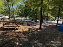 A wooded campsite with picnic tables and a fire pit at 201 Deer Park Rd, Mount Gilead, NC 27306