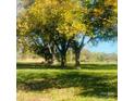 Wooded lot with open grassy area, perfect for building your dream home at 5304 State Line Rd # 3, Marshville, NC 28103
