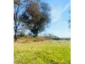 Vacant lot with mature trees and grassy field at 5304 State Line Rd # 3, Marshville, NC 28103