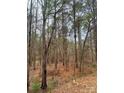 Wooded lot with mature trees and undergrowth at 1176 Great Falls Hwy, Chester, SC 29706