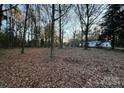 Spacious backyard with wooded area at 730 Weston Acres Rd # 17, Fort Lawn, SC 29714