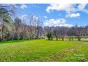 Spacious grassy backyard with mature trees and a partially sunny exposure at 6450 Lineberger Rd, Denver, NC 28037