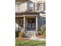 Covered front entry with double doors, stone accents, and columns at 13502 Long Common Pkwy, Huntersville, NC 28078