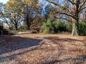 Large backyard with mature trees and gravel area at 2205 Rama Rd, Charlotte, NC 28212