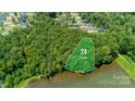 81-acre lot with lakefront access at 168 Wylie Trl, Statesville, NC 28677