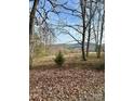 A scenic view of a natural landscape with rolling hills, bare trees, and fallen leaves at 206 Rocky Top Rd, Taylorsville, NC 28681