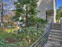 Front walkway and steps leading to the home's entrance at 1401 Scotland Ave, Charlotte, NC 28207