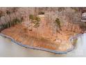 Waterfront lot with shoreline and mature trees. Perfect for building a lake home at 13731 Petworth Ct, Charlotte, NC 28278