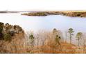 Aerial view of waterfront lot with mature trees and lake access at 13731 Petworth Ct, Charlotte, NC 28278