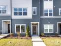 Contemporary townhome featuring gray siding, a brown door, and well-manicured landscaping at 1526 Levy Way, Charlotte, NC 28205