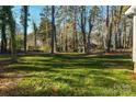 Spacious backyard with tall trees and green grass at 1121 Laurel St, Salisbury, NC 28144