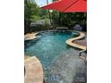 Relaxing freeform swimming pool perfect for summer fun at 9058 Tulagi Ct, Tega Cay, SC 29708