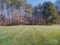 Spacious backyard with a grassy lawn and mature trees at 356 Cooper Farm Rd, Statesville, NC 28625