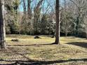 Wooded backyard with a large grassy area at 1364 5Th Street Nw Cir, Hickory, NC 28601
