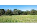 Vacant lot ready for building, featuring open space and tree line at 19227 Shearer Rd, Davidson, NC 28036