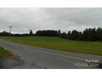 Vacant land with roadside view and treeline at 444 Badin Lake Rd, New London, NC 28127