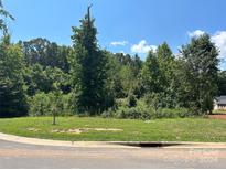 Wooded building lot ready for your dream home at 30 Shanklin S Ln # 30, Denver, NC 28037