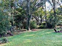 Large backyard with mature trees and fire pit at 2008 Stratford Ave, Charlotte, NC 28205