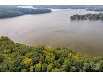 Aerial view of waterfront property with lush greenery at 1007 Kingbird Ln, Clover, SC 29710