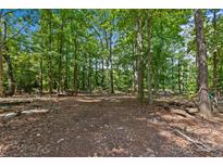 Wooded lot with mature trees and natural terrain at 5621 Mount Olive Church Rd, Charlotte, NC 28278