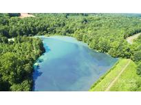 Aerial view of a serene lake surrounded by lush greenery at 168 Wylie Trl, Statesville, NC 28677