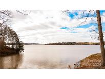 Scenic waterfront property with tranquil lake views and tree-lined shores at 13731 Petworth Ct, Charlotte, NC 28278