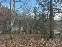 Wooded lakefront lot with mature trees and a view of the water at 3 Crappie Cove Ln, Hickory, NC 28681