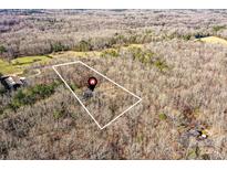 Aerial view showing home location on wooded lot at 8327 Walkup Rd, Waxhaw, NC 28173