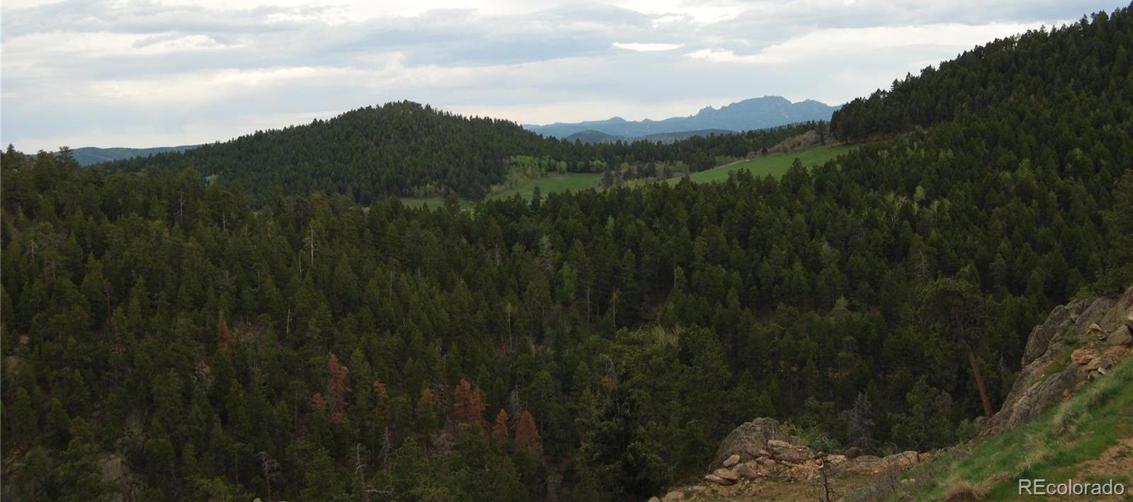 Photo #16