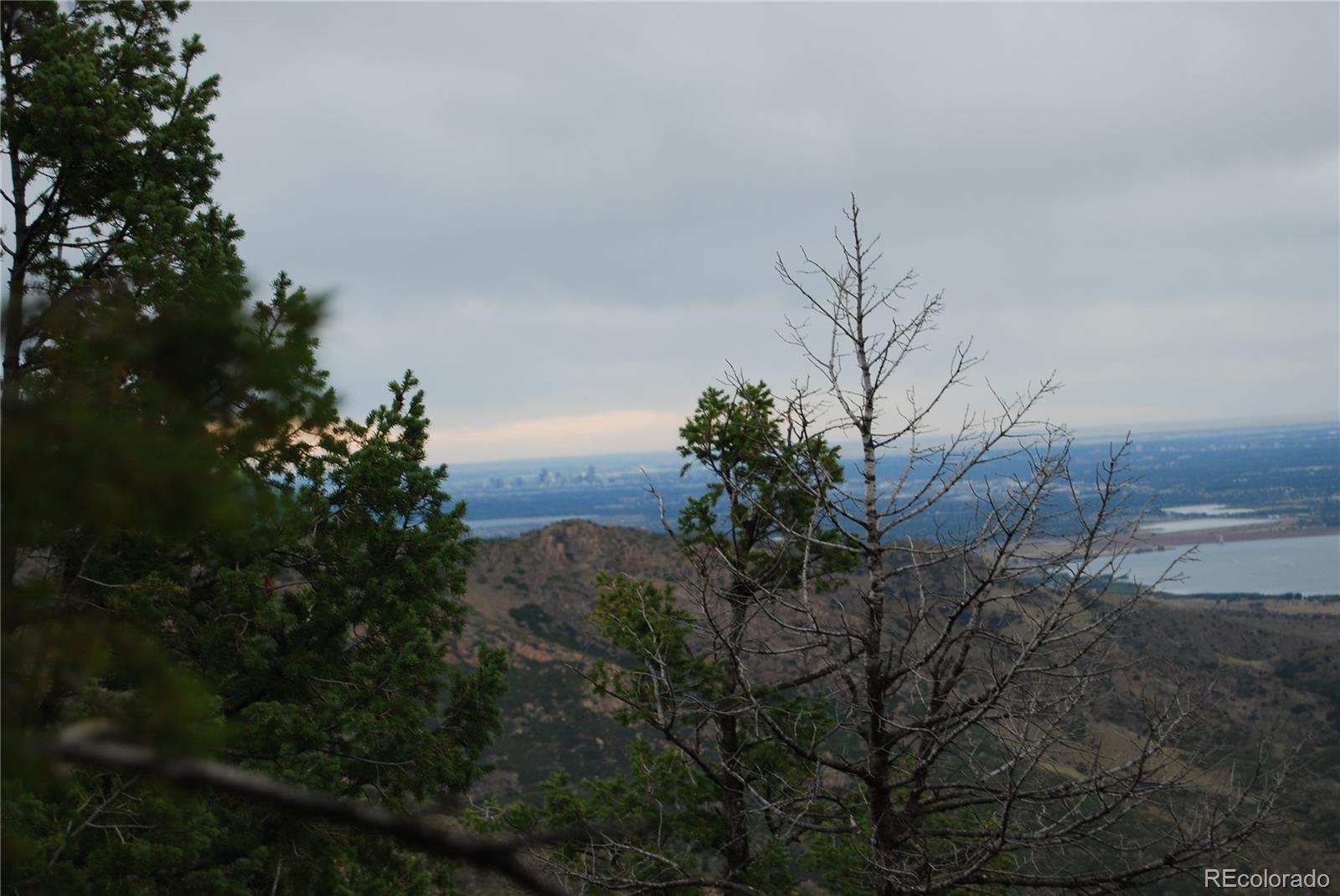Photo #2