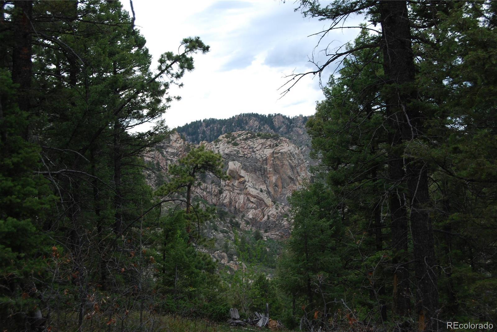 Photo #4