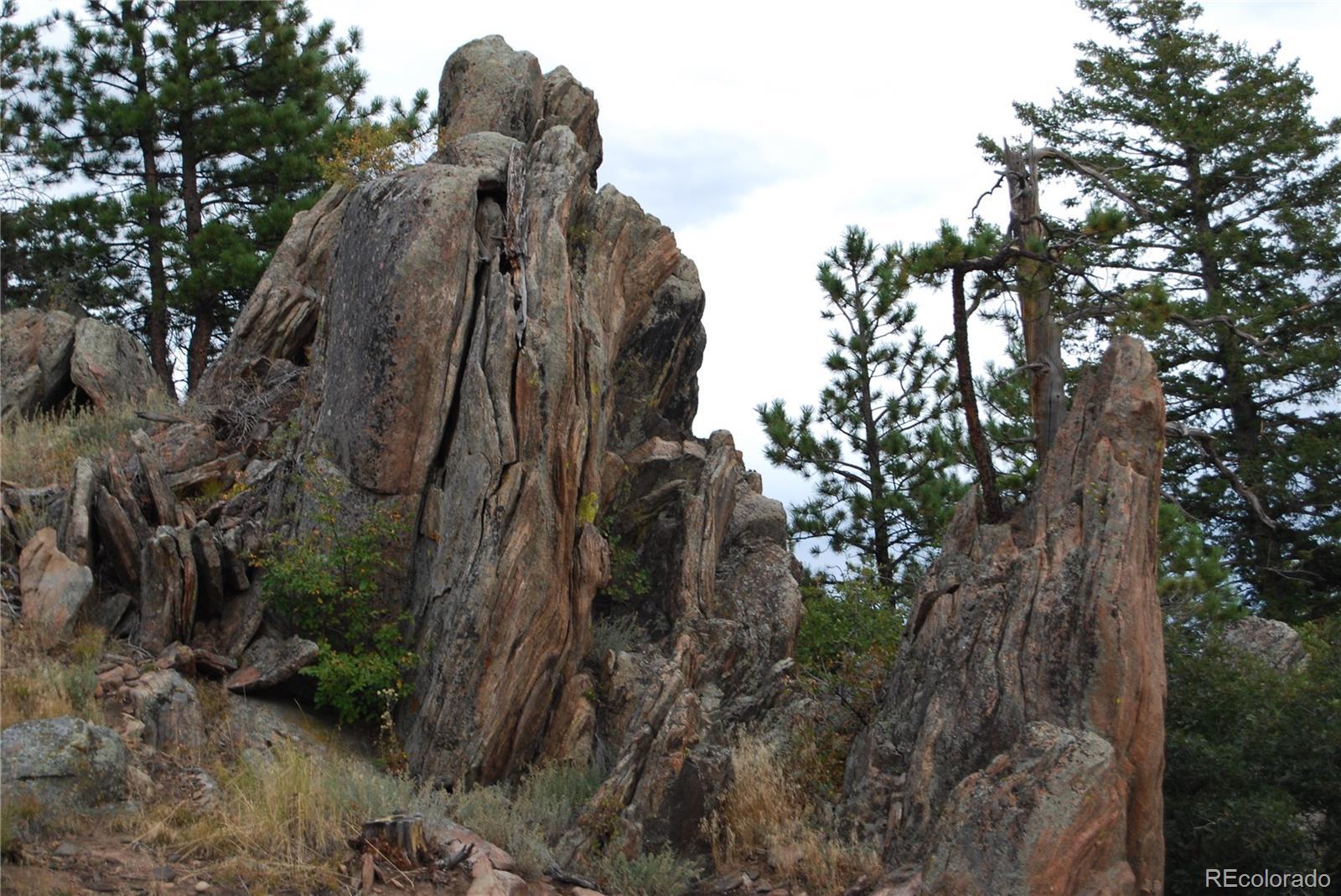Photo #9