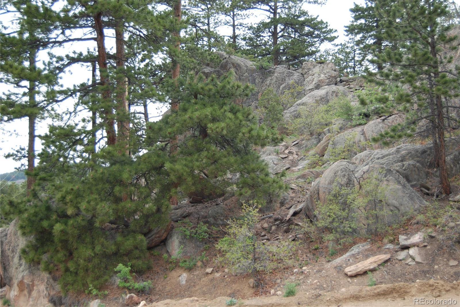 Photo #14