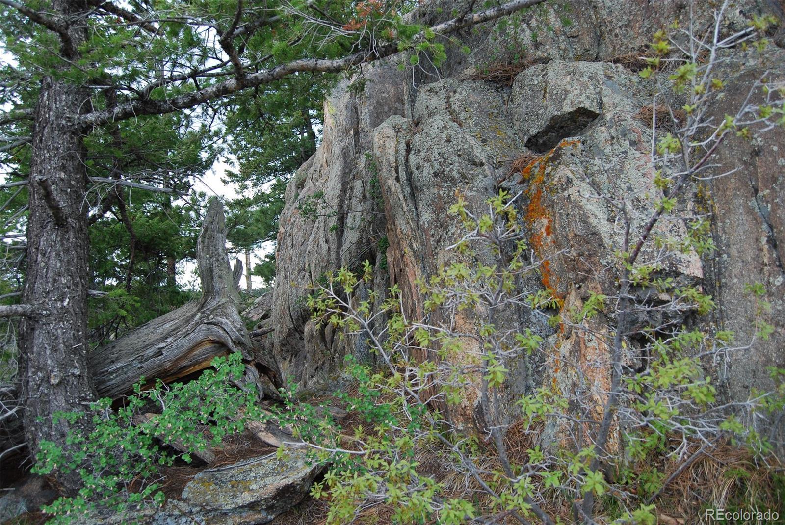 Photo #10
