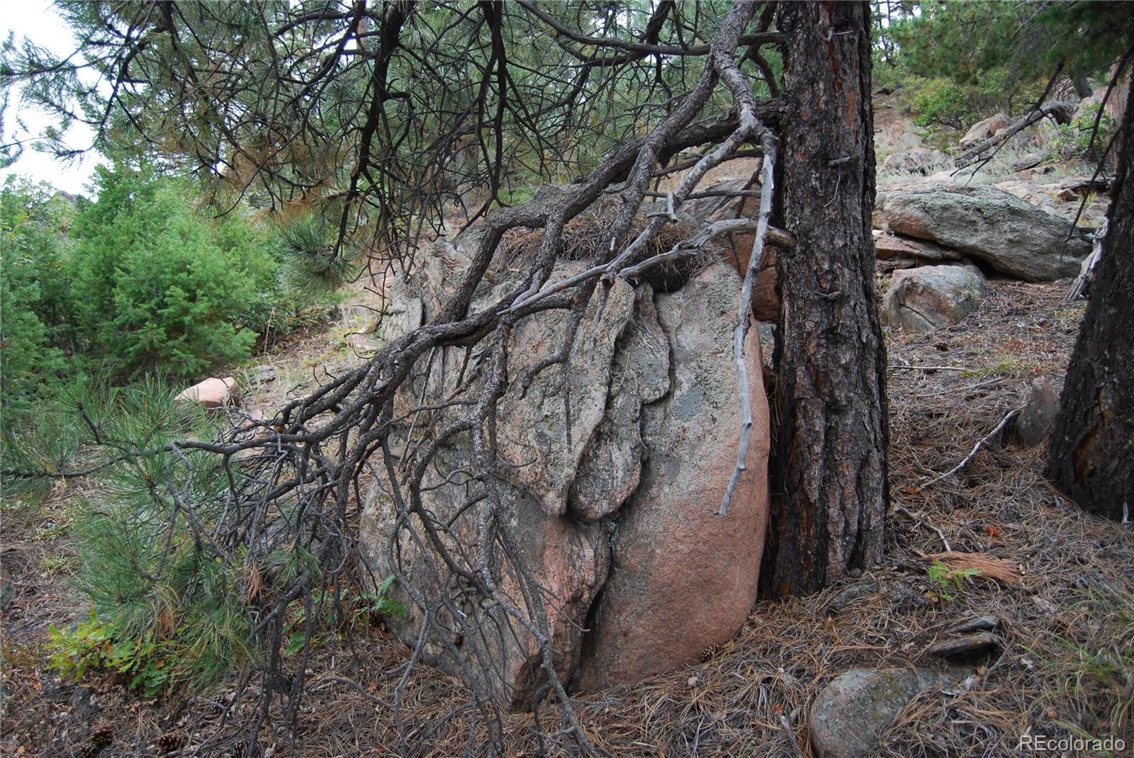 Photo #8