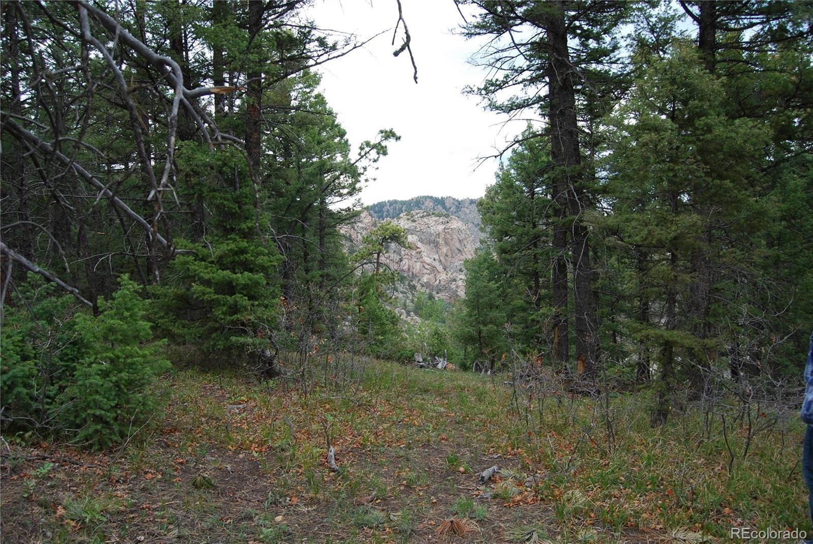 Photo #13