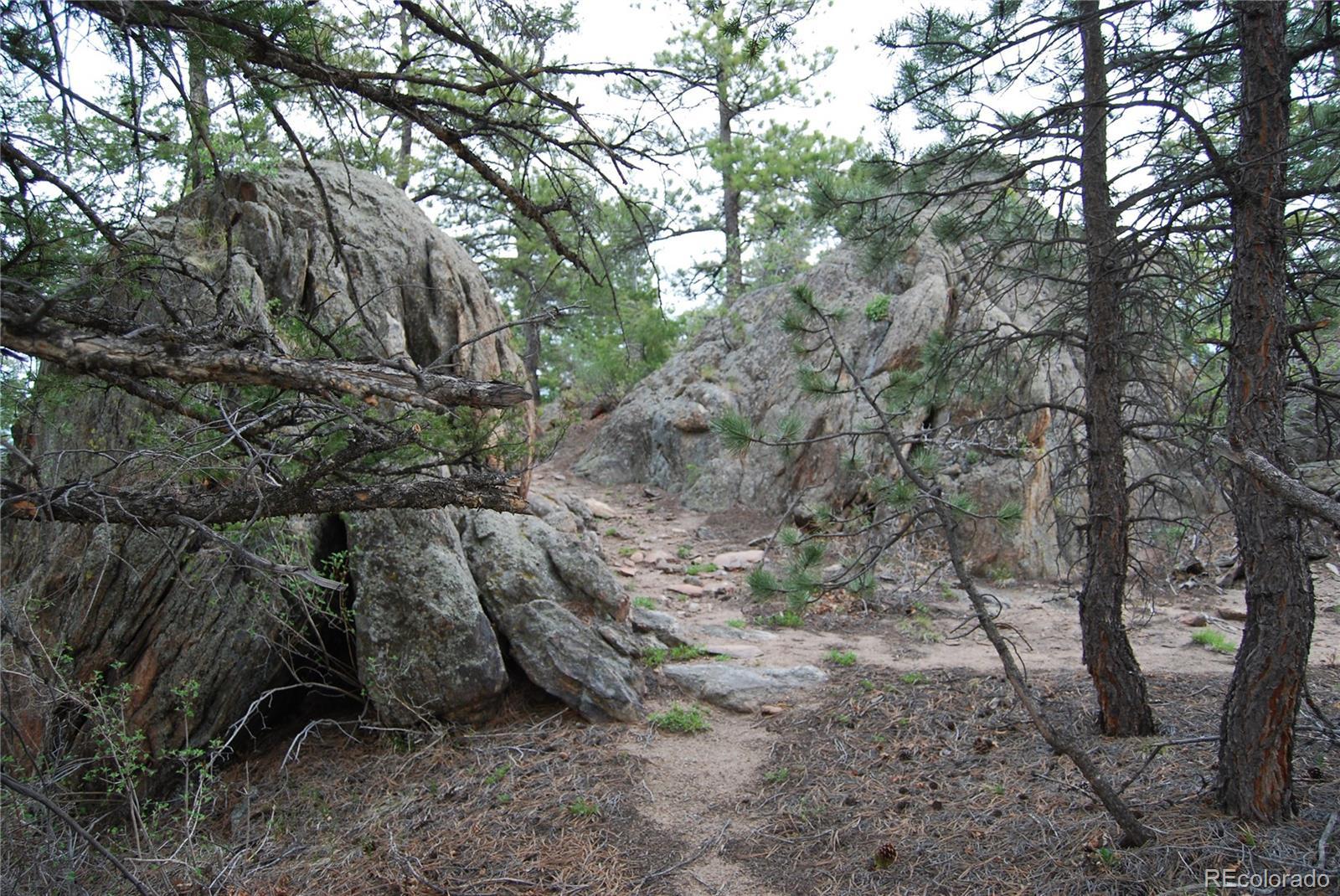 Photo #11