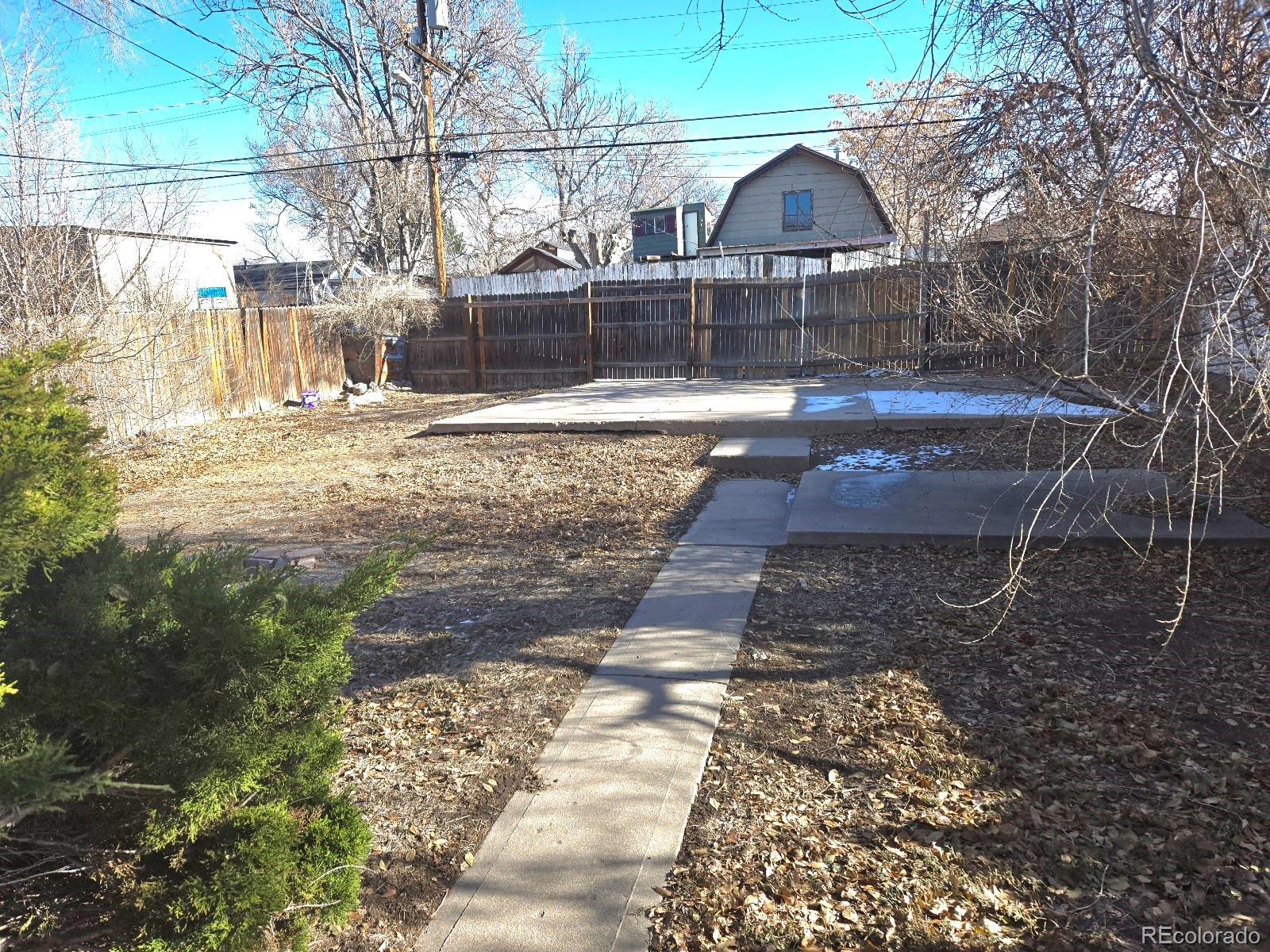 Photo #14