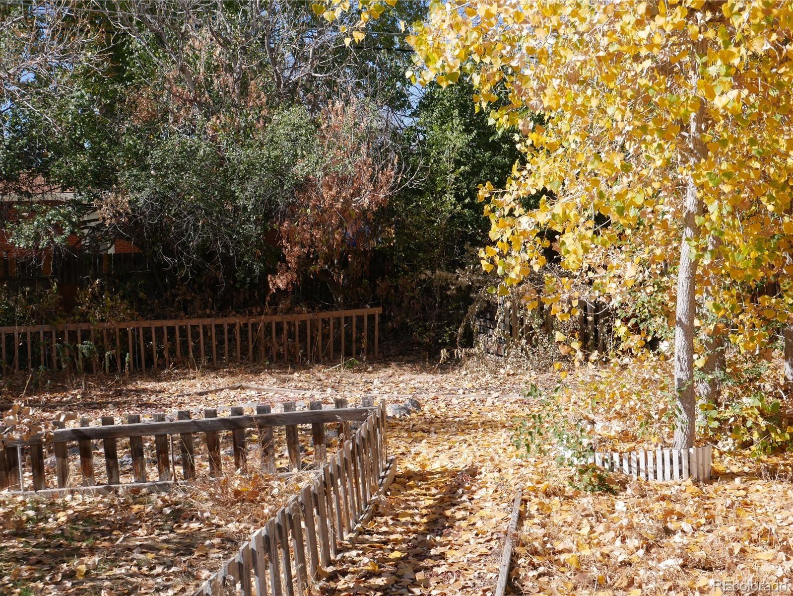 Photo #4