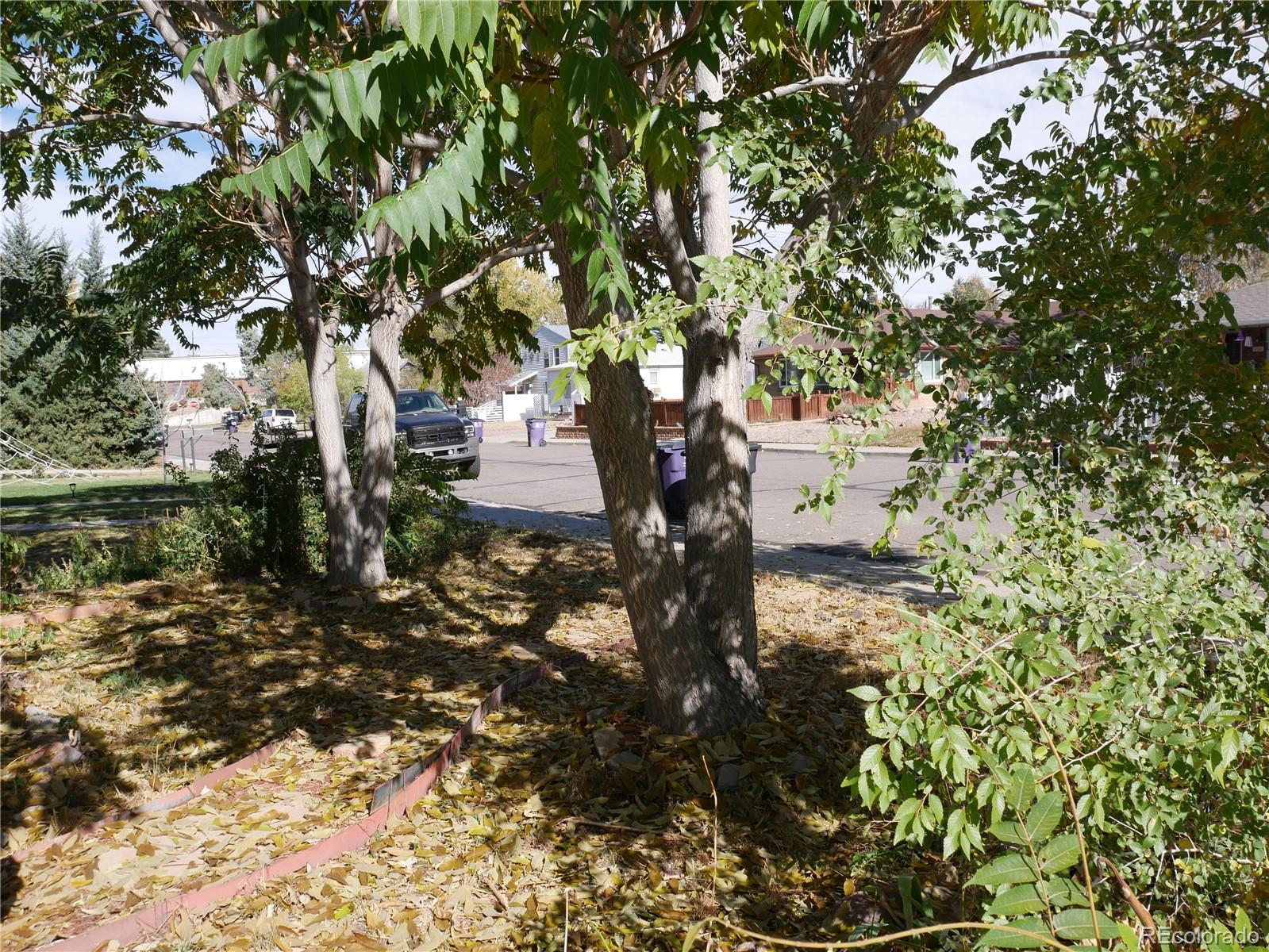 Photo #3