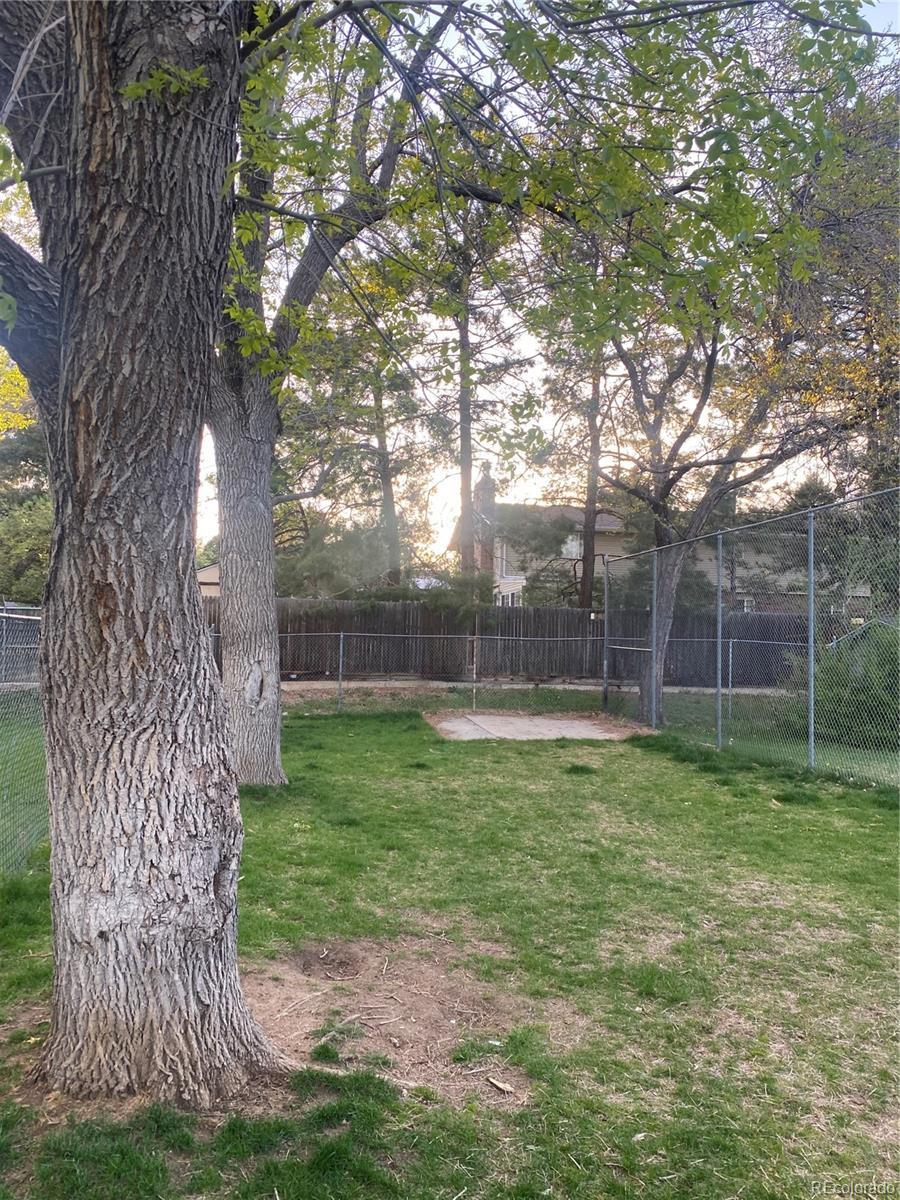 Photo #14
